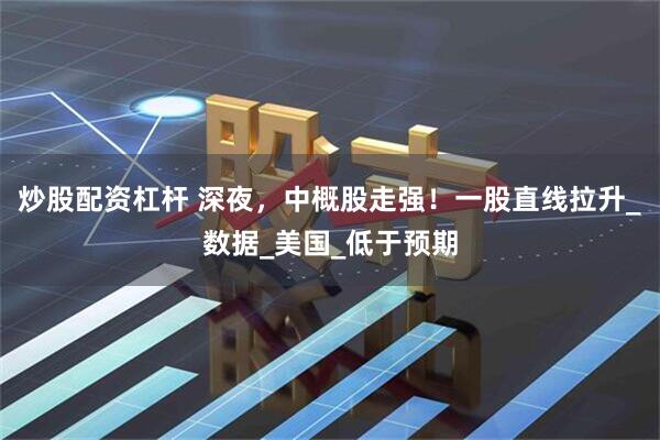 炒股配资杠杆 深夜，中概股走强！一股直线拉升_数据_美国_低于预期