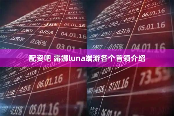 配资吧 露娜luna端游各个首领介绍