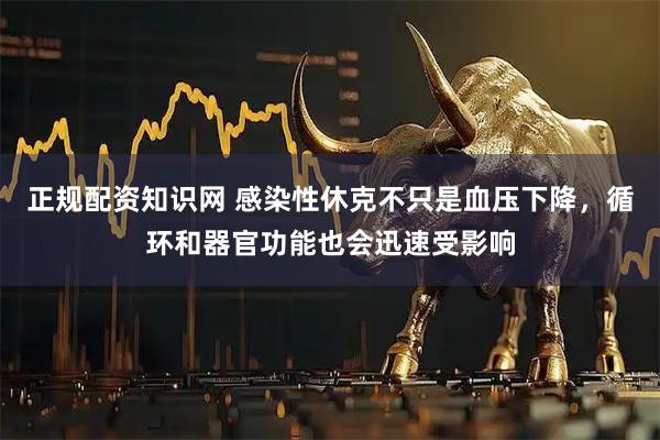 正规配资知识网 感染性休克不只是血压下降，循环和器官功能也会迅速受影响