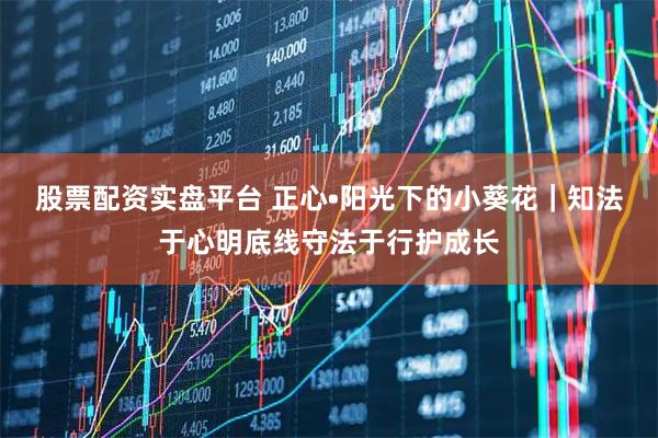 股票配资实盘平台 正心•阳光下的小葵花｜知法于心明底线守法于行护成长